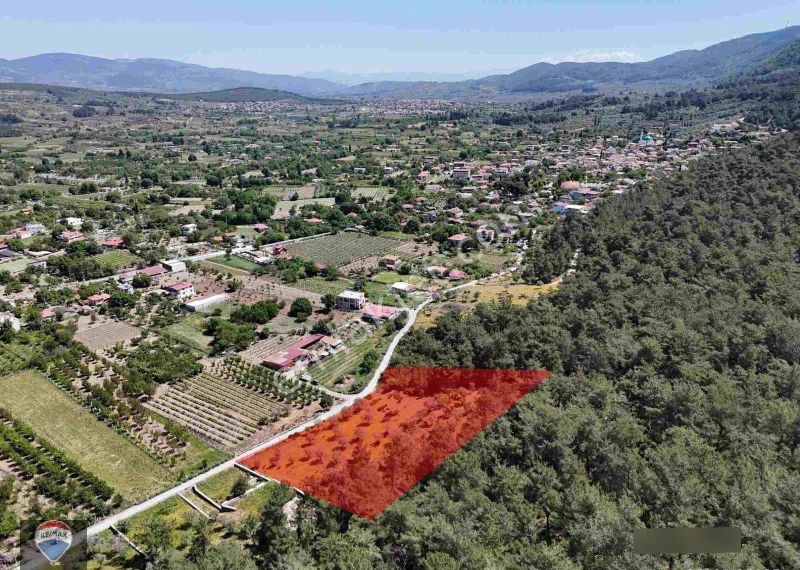 Kuşadası Kirazlı Köyü’nde Satılık 5740 M2 Tarla - Görsel 8