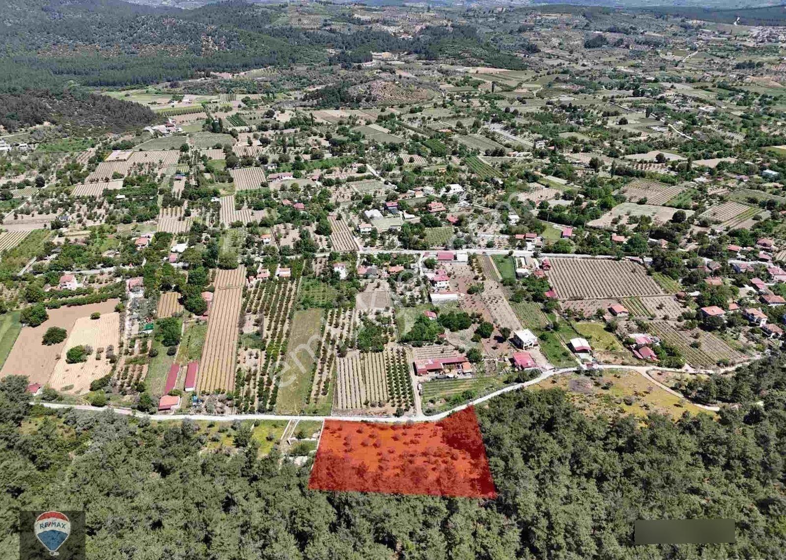 Kuşadası Kirazlı Köyü’nde Satılık 5740 M2 Tarla - Görsel 3