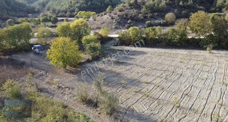 Bilecik Osmaneli Hızlı Tren Yolu Yanı (950 Metre )satılık Tarla - Görsel 4