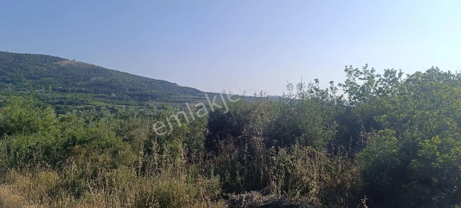Bursa İznik Çamdibinde Satılık Göl Manzaralı Tarla - Görsel 4