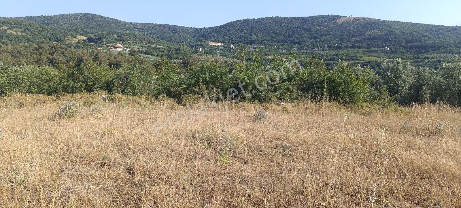Bursa İznik Çamdibinde Satılık Göl Manzaralı Tarla - Görsel 12