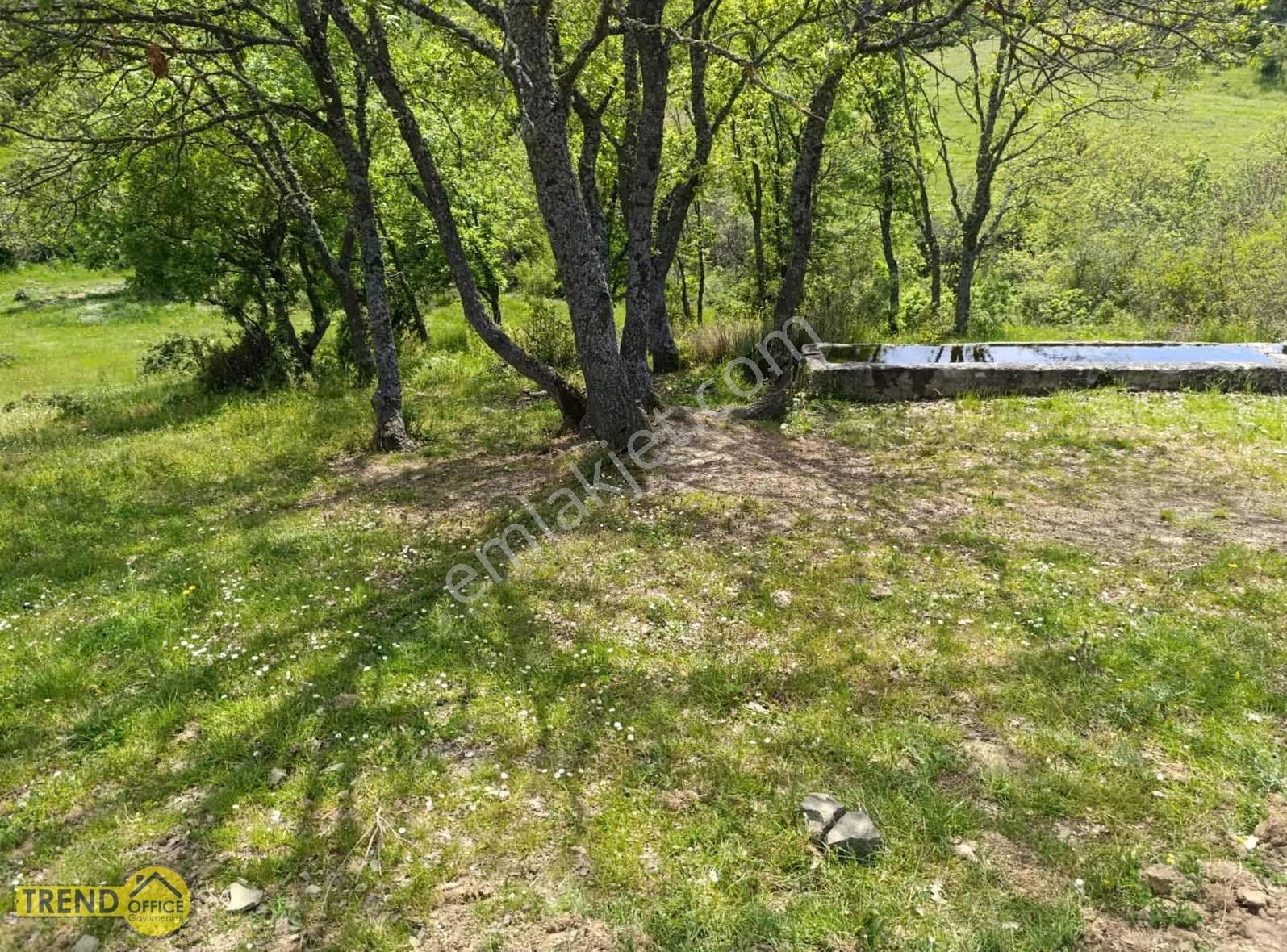 Kestel Nüshetiye Satılık 362 M2 Satılık Hisseli Tarla - Görsel 4