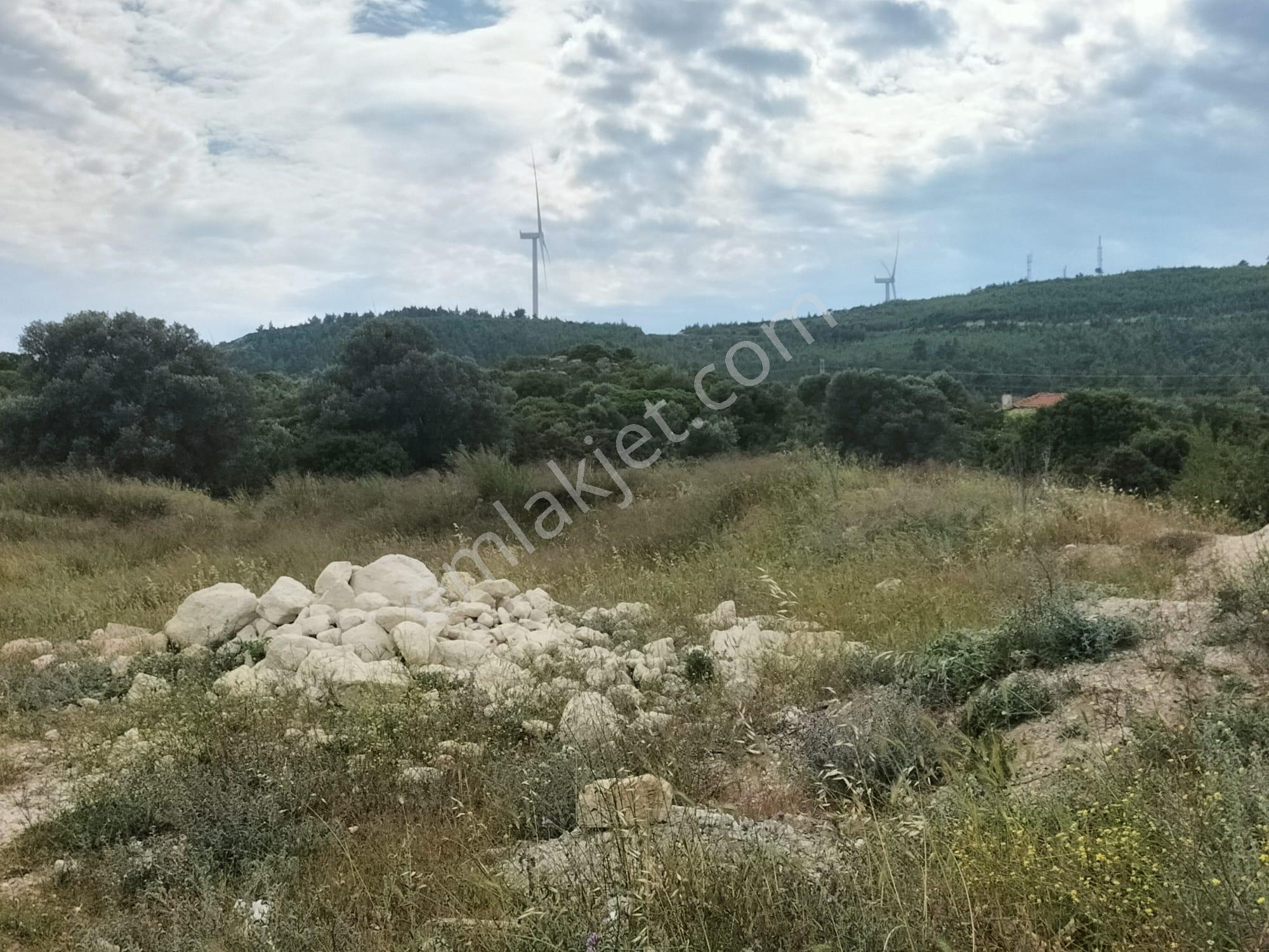 Çeşme Mamurbaba 'da Satılık Fırsat Arazi - Görsel 2