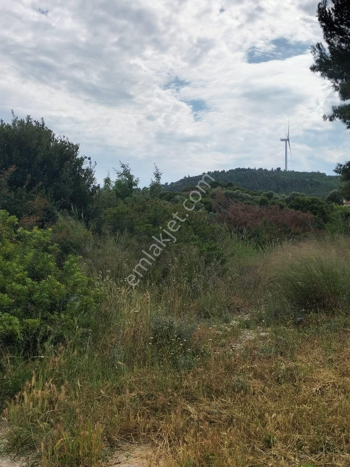 Çeşme Mamurbaba 'da Satılık Fırsat Arazi - Görsel 8