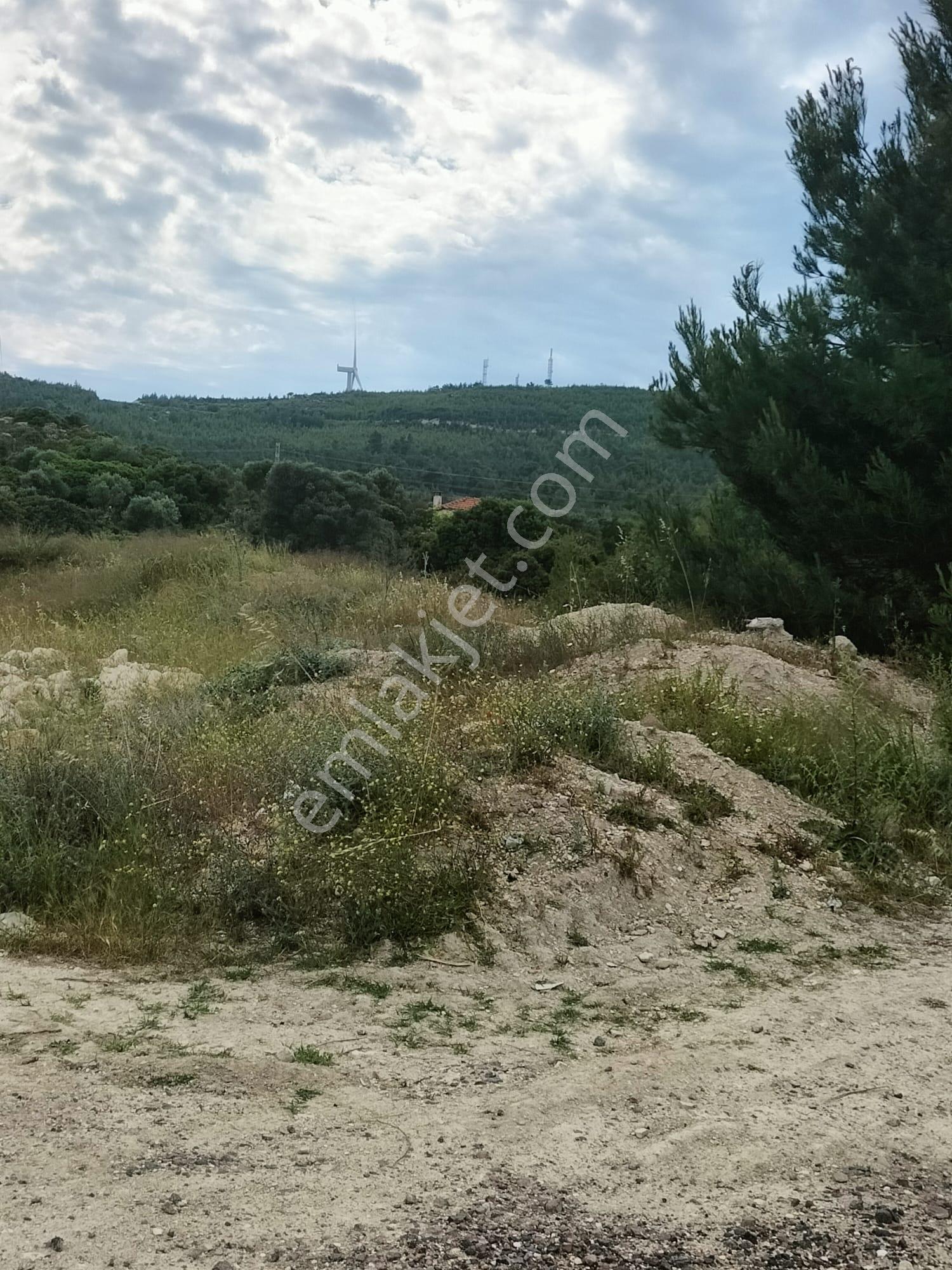 Çeşme Mamurbaba 'da Satılık Fırsat Arazi - Görsel 3