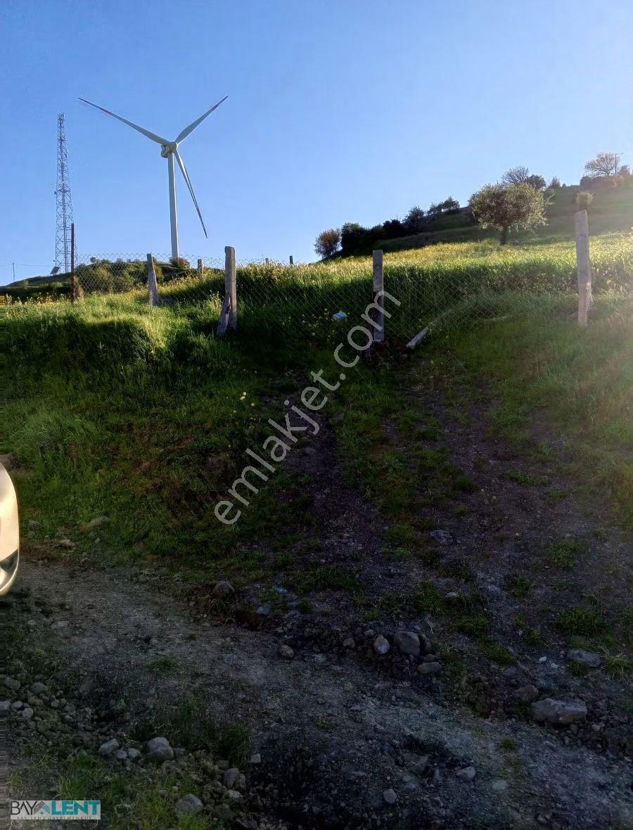 Balıkesirin Dibinde Kavaklı Da Satılık 1/5 Hisseli 1721 M2. Tarl - Görsel 6