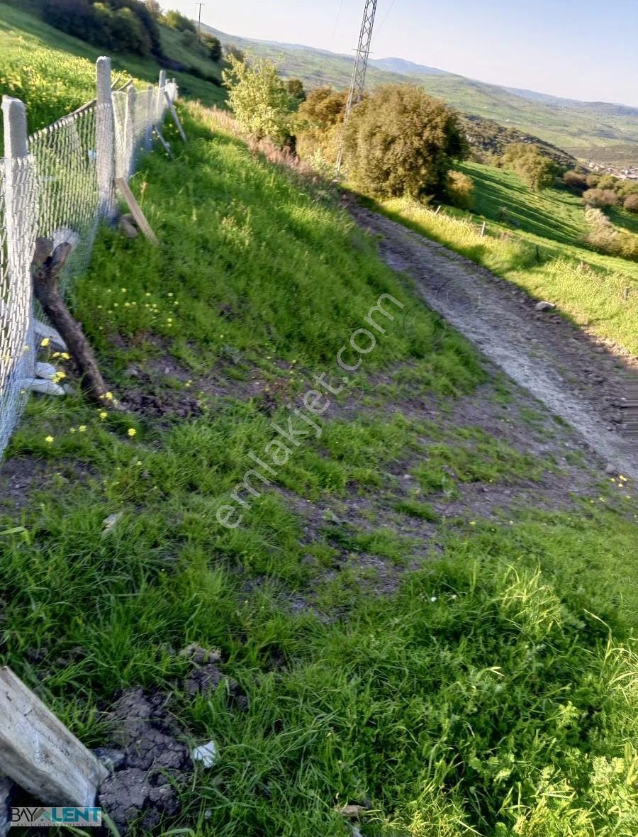 Balıkesirin Dibinde Kavaklı Da Satılık 1/5 Hisseli 1721 M2. Tarl - Görsel 26