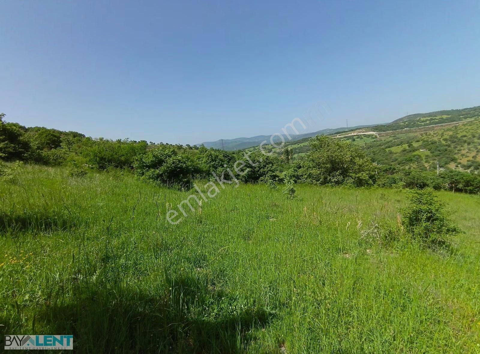 Balıkesirin Dibinde Kavaklı Da Satılık 1/5 Hisseli 1721 M2. Tarl - Görsel 33