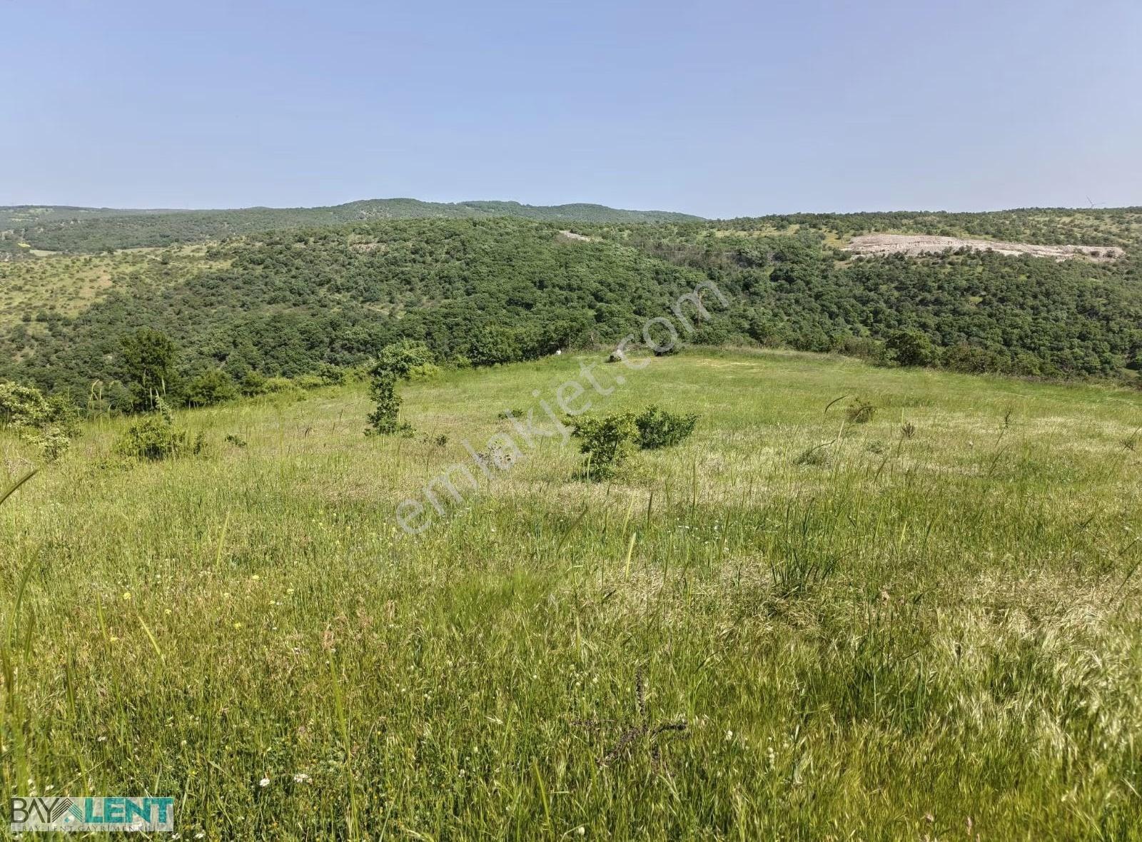 Balıkesirin Dibinde Kavaklı Da Satılık 1/5 Hisseli 1721 M2. Tarl - Görsel 27
