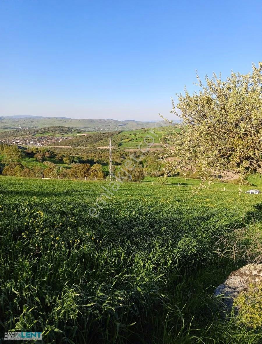 Balıkesirin Dibinde Kavaklı Da Satılık 1/5 Hisseli 1721 M2. Tarl - Görsel 2
