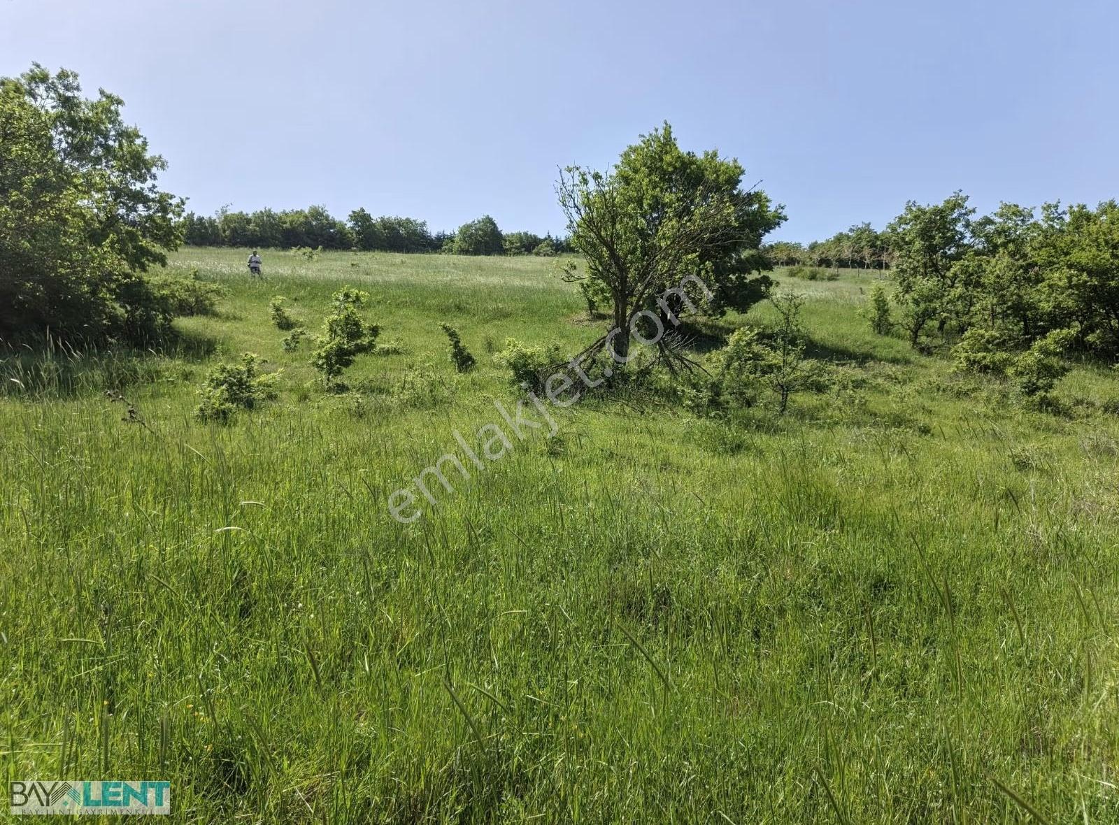 Balıkesirin Dibinde Kavaklı Da Satılık 1/5 Hisseli 1721 M2. Tarl - Görsel 13