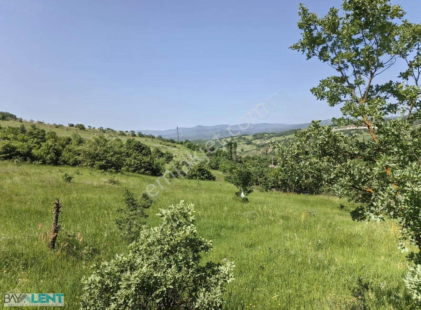 Balıkesirin Dibinde Kavaklı Da Satılık 1/5 Hisseli 1721 M2. Tarl - Görsel 15