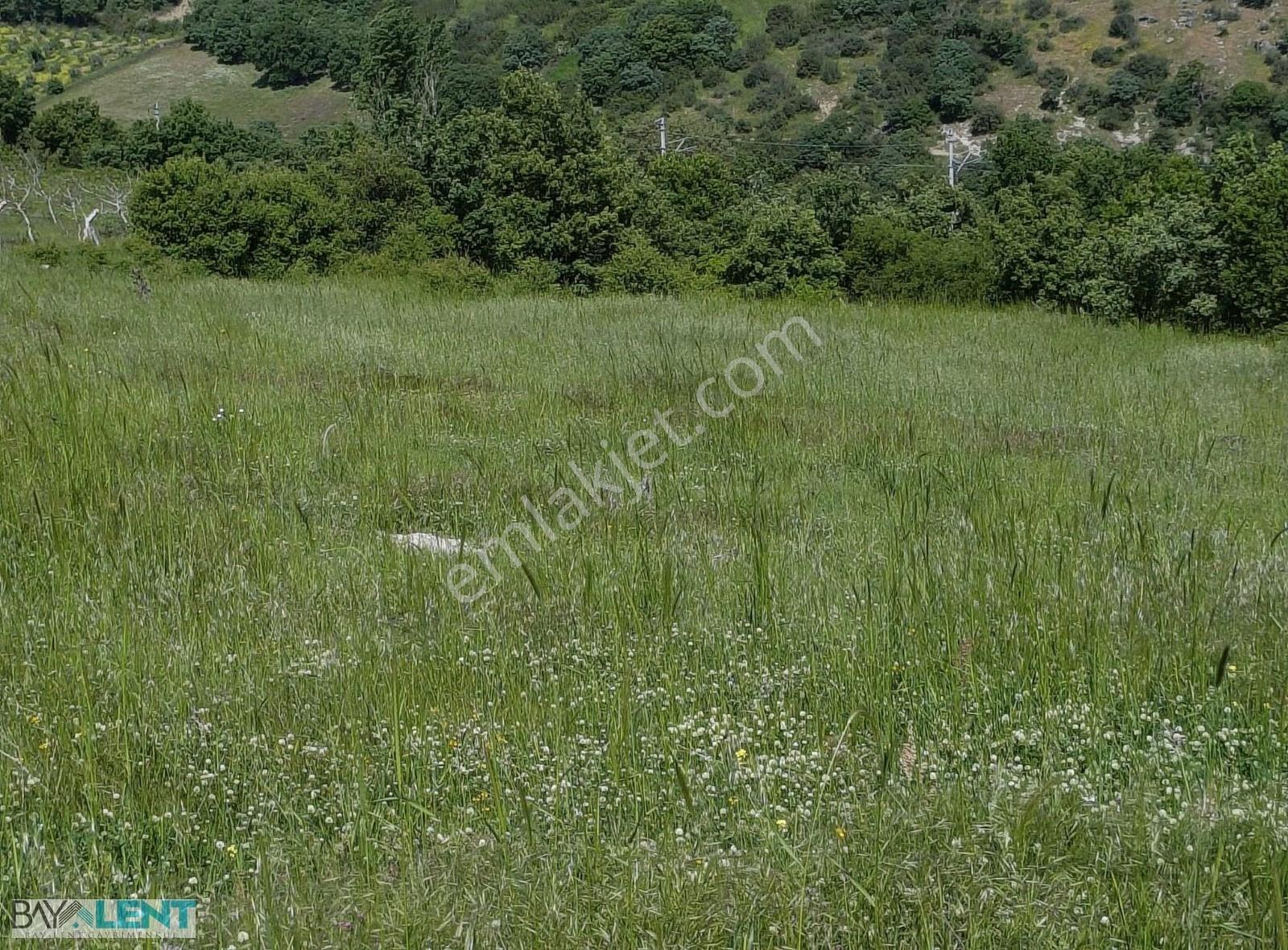 Balıkesirin Dibinde Kavaklı Da Satılık 1/5 Hisseli 1721 M2. Tarl - Görsel 11