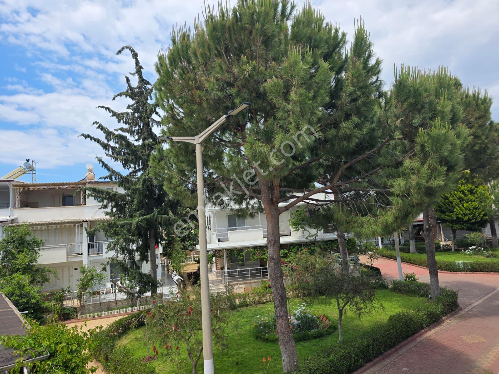 Denize Yakın Şirin Yazlık! - Görsel 20
