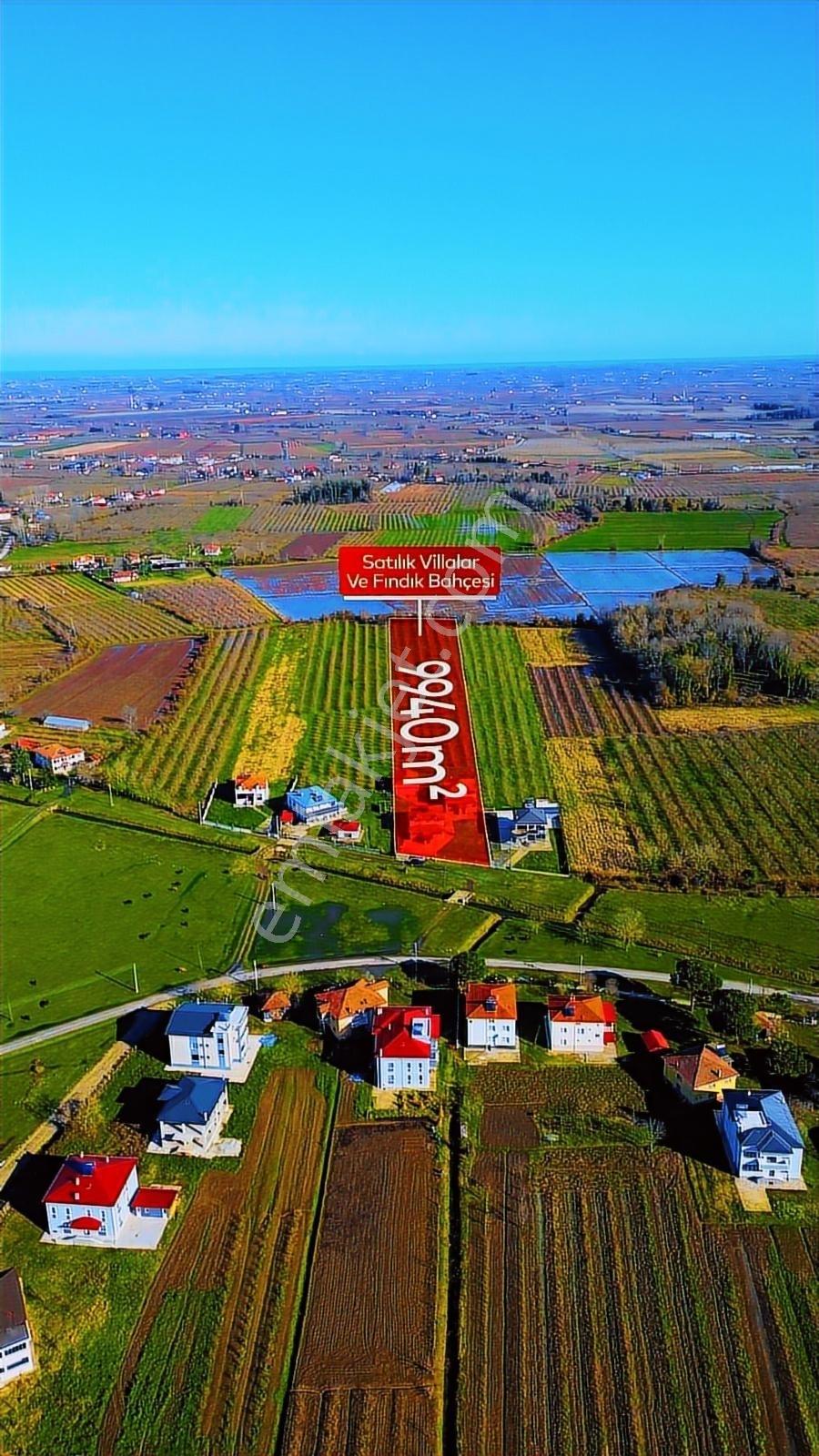 Truva/isa Kılıç'tan Çarşamba Epçeli Satılık 9940 M2 Tarla-villa - Görsel 2