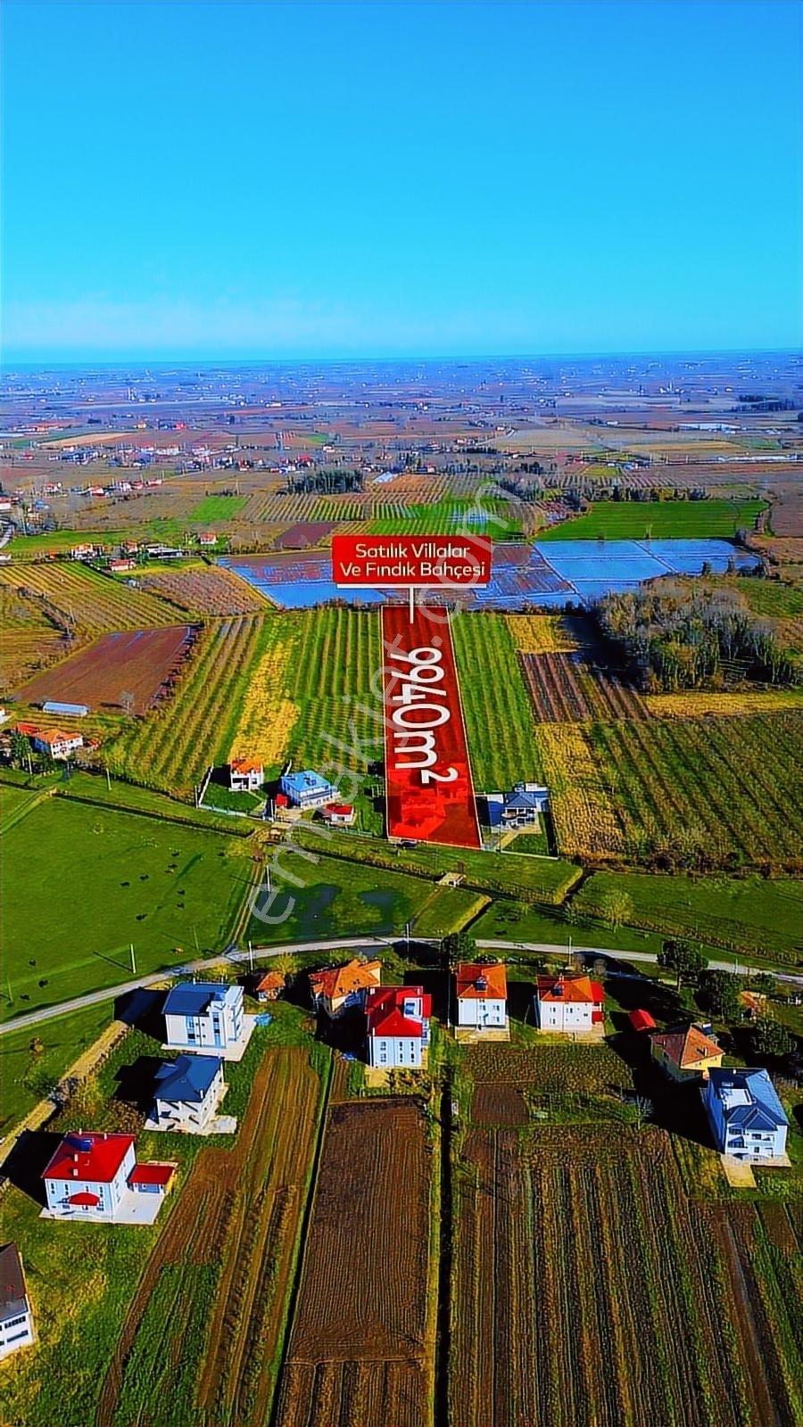 Truva/isa Kılıç'tan Çarşamba Epçeli Satılık 9940 M2 Tarla-villa - Görsel 6