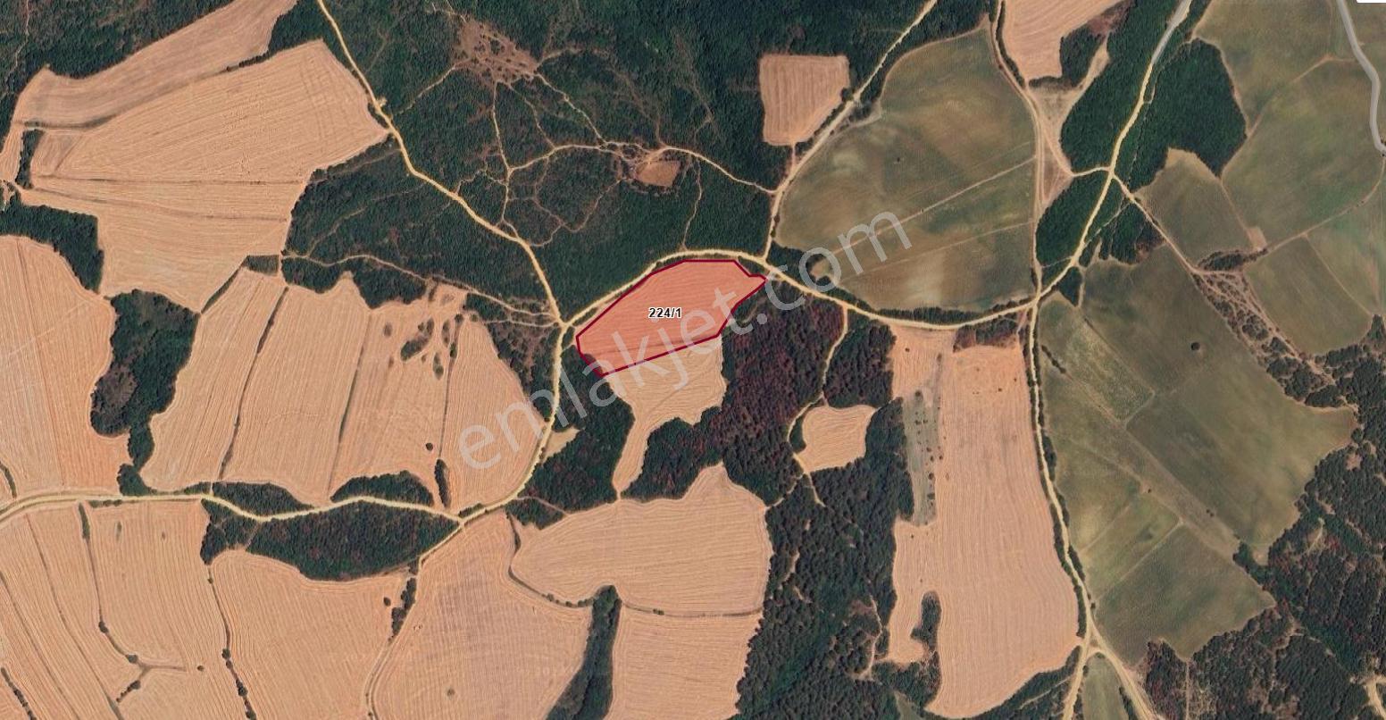 Bulut Yatırımdan 12100 M² Köy Merkezine Yakın Göl Manzaralı - Görsel 5