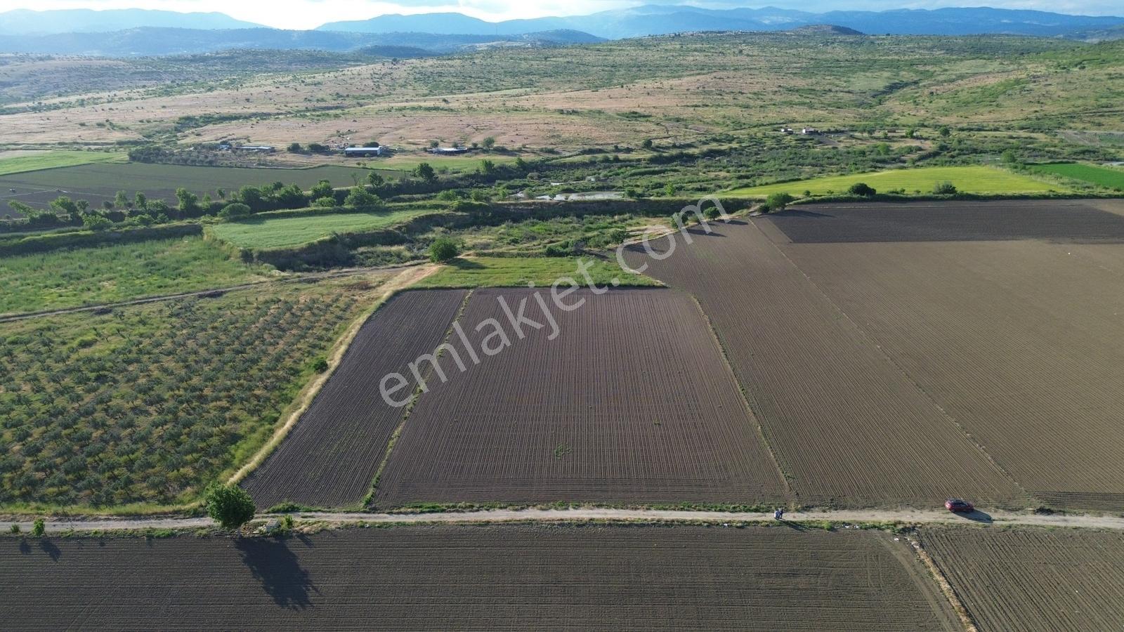 Bergama Ayaskent Mahallesin'de Satılık 8.694m2 Tarla - Görsel 12