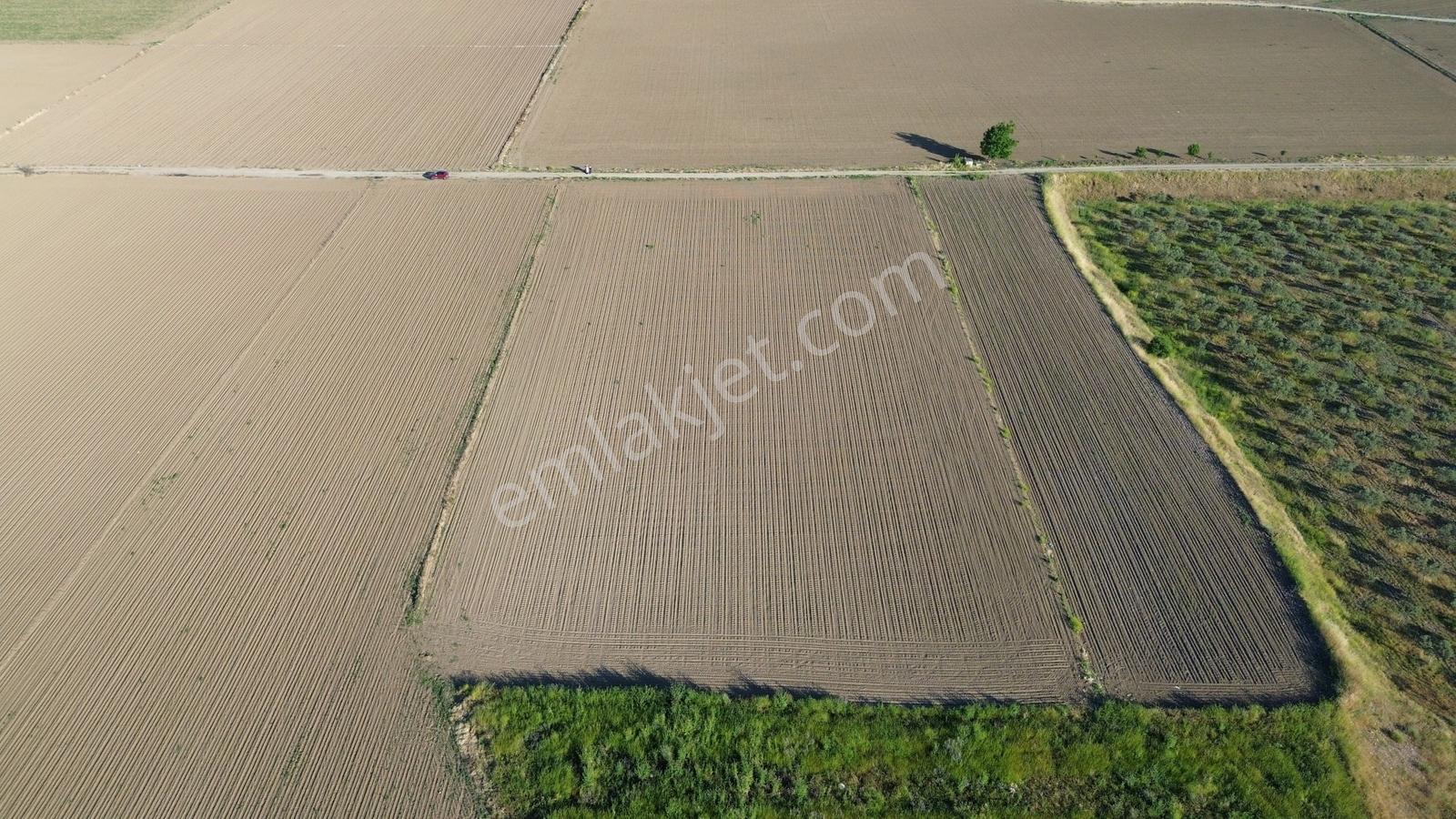 Bergama Ayaskent Mahallesin'de Satılık 8.694m2 Tarla - Görsel 28