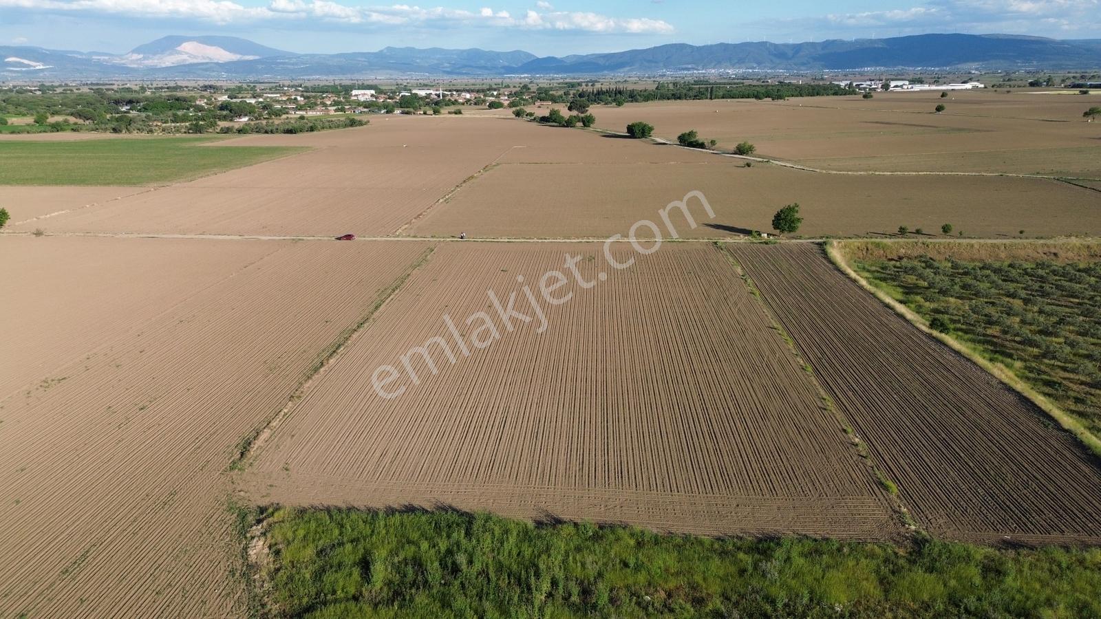 Bergama Ayaskent Mahallesin'de Satılık 8.694m2 Tarla - Görsel 7