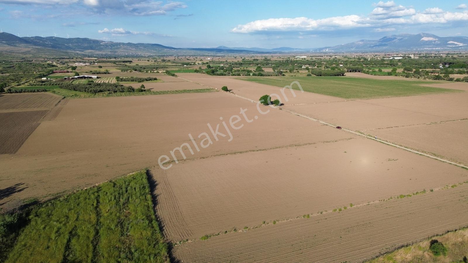 Bergama Ayaskent Mahallesin'de Satılık 8.694m2 Tarla - Görsel 6