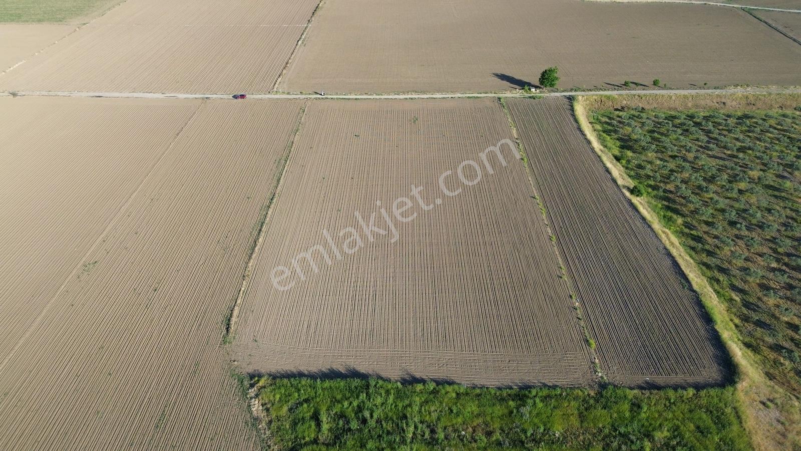 Bergama Ayaskent Mahallesin'de Satılık 8.694m2 Tarla - Görsel 13
