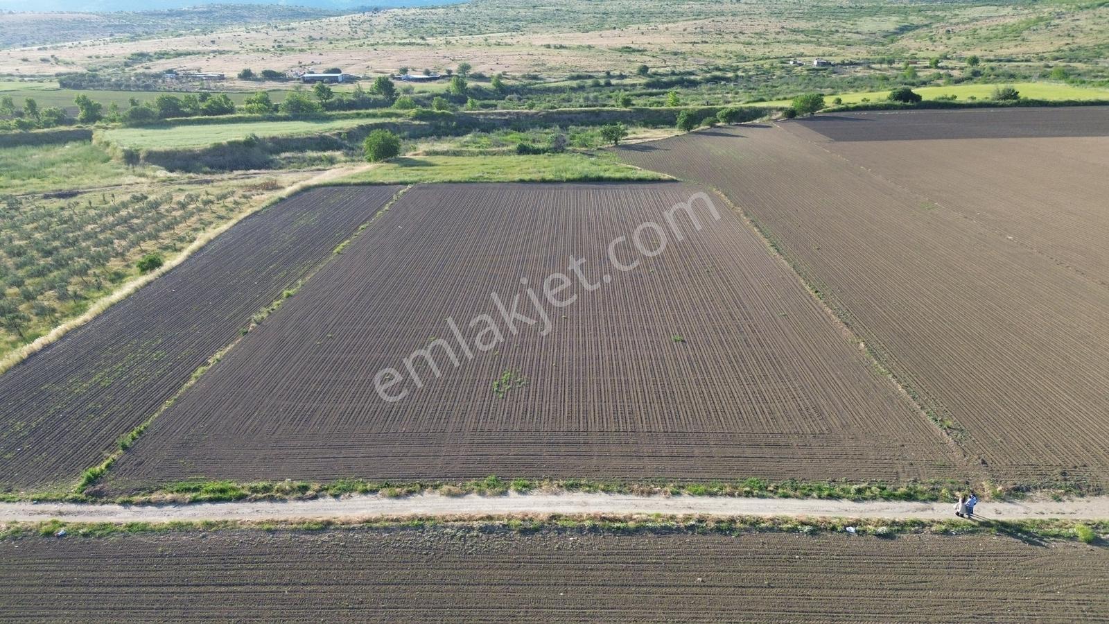 Bergama Ayaskent Mahallesin'de Satılık 8.694m2 Tarla - Görsel 11