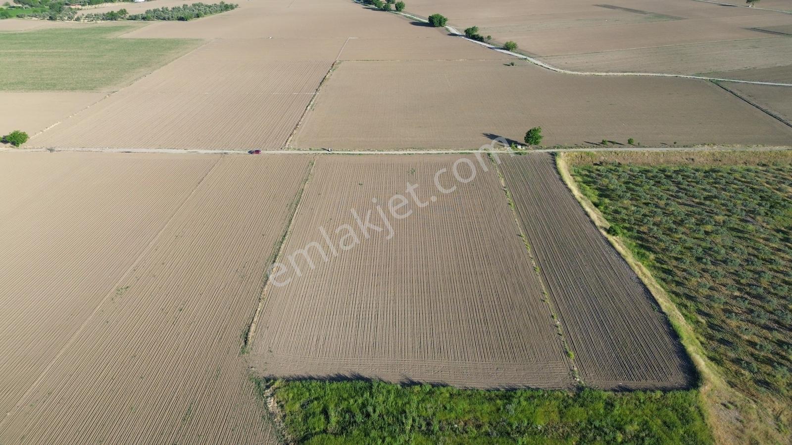 Bergama Ayaskent Mahallesin'de Satılık 8.694m2 Tarla - Görsel 24