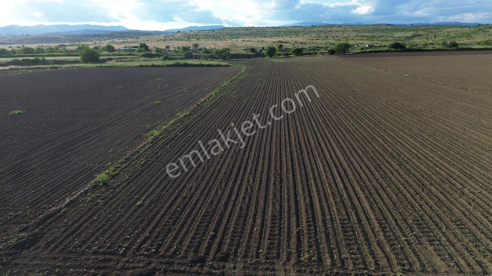 Bergama Ayaskent Mahallesin'de Satılık 8.694m2 Tarla - Görsel 10