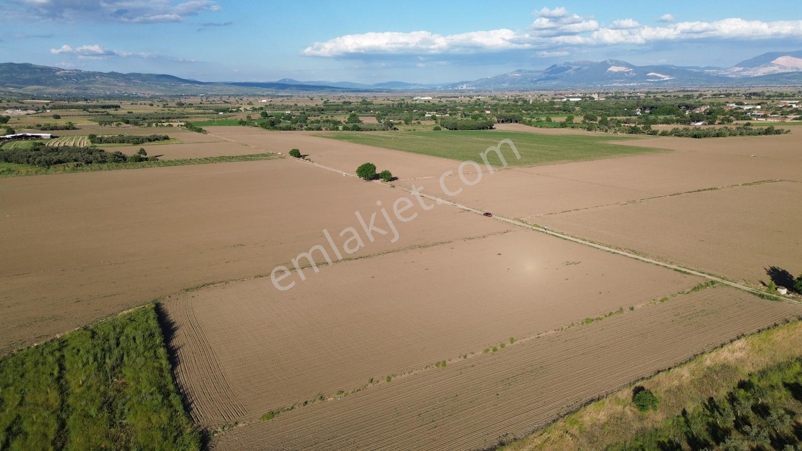 Bergama Ayaskent Mahallesin'de Satılık 8.694m2 Tarla - Görsel 2