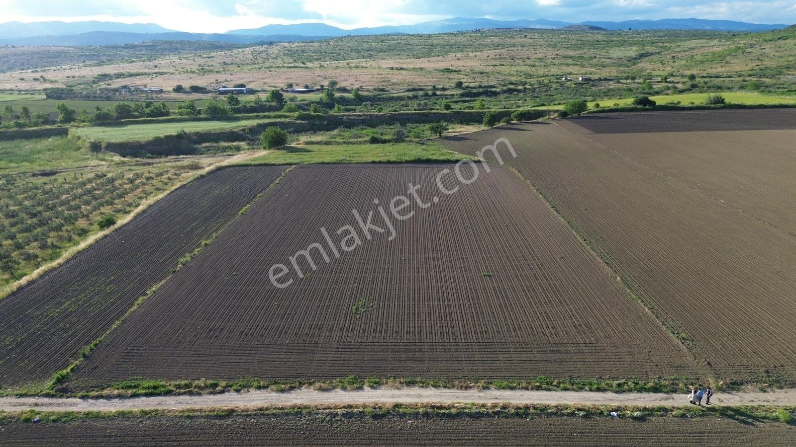 Bergama Ayaskent Mahallesin'de Satılık 8.694m2 Tarla - Görsel 8
