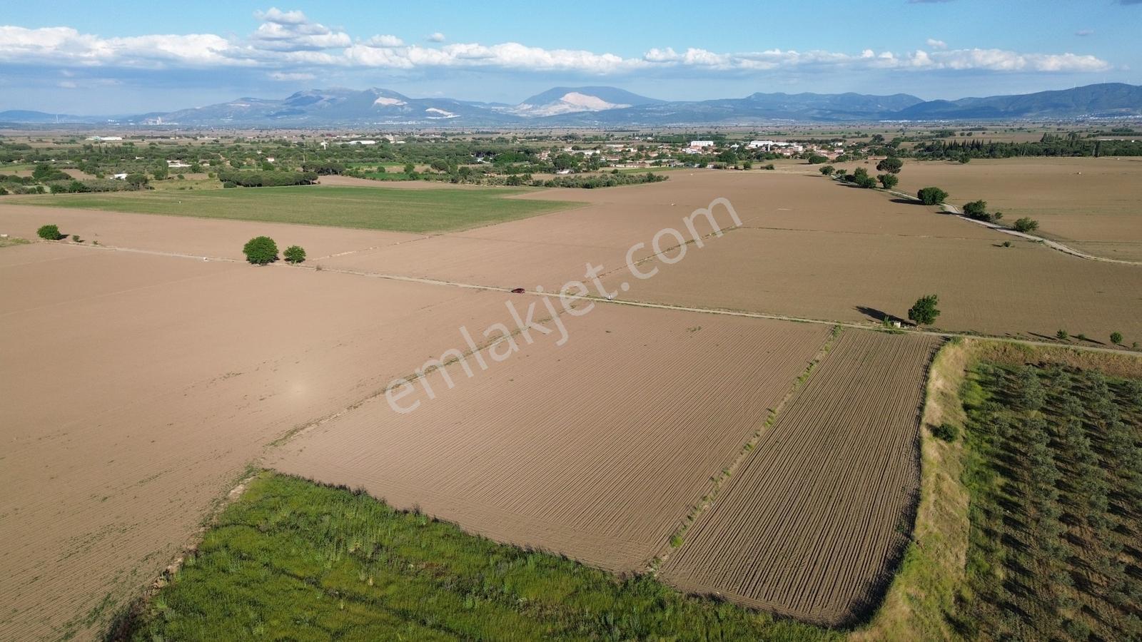 Bergama Ayaskent Mahallesin'de Satılık 8.694m2 Tarla - Görsel 4
