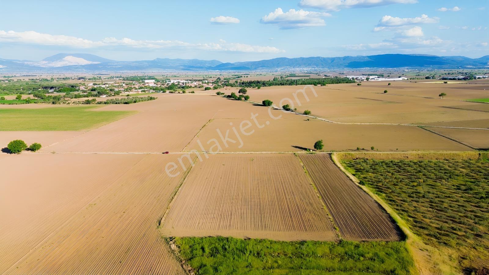 Bergama Ayaskent Mahallesin'de Satılık 8.694m2 Tarla - Görsel 31