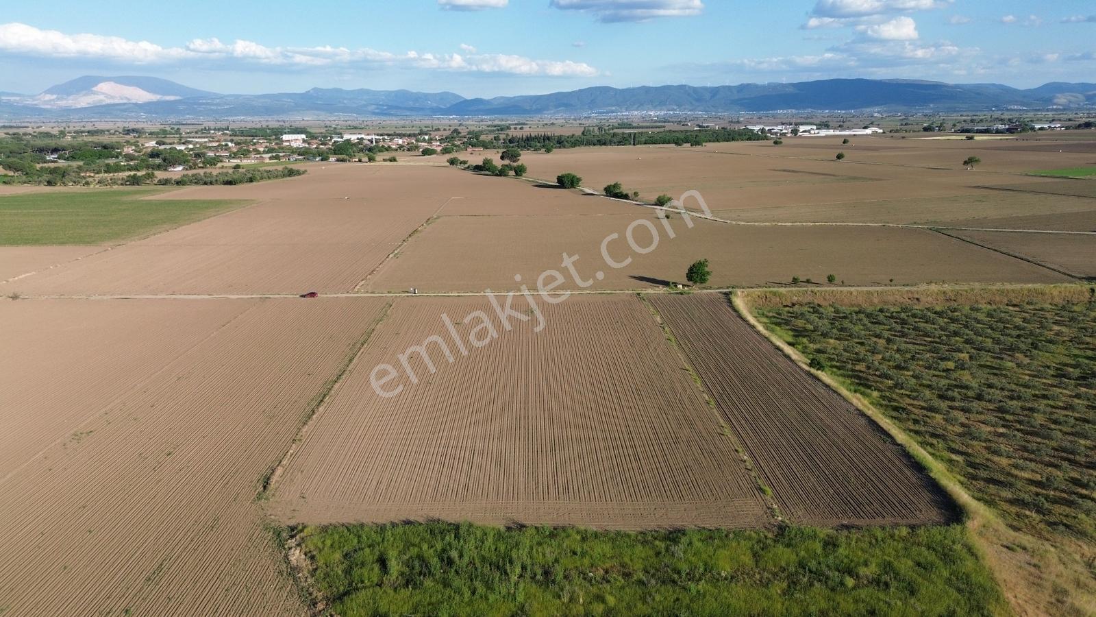 Bergama Ayaskent Mahallesin'de Satılık 8.694m2 Tarla - Görsel 3