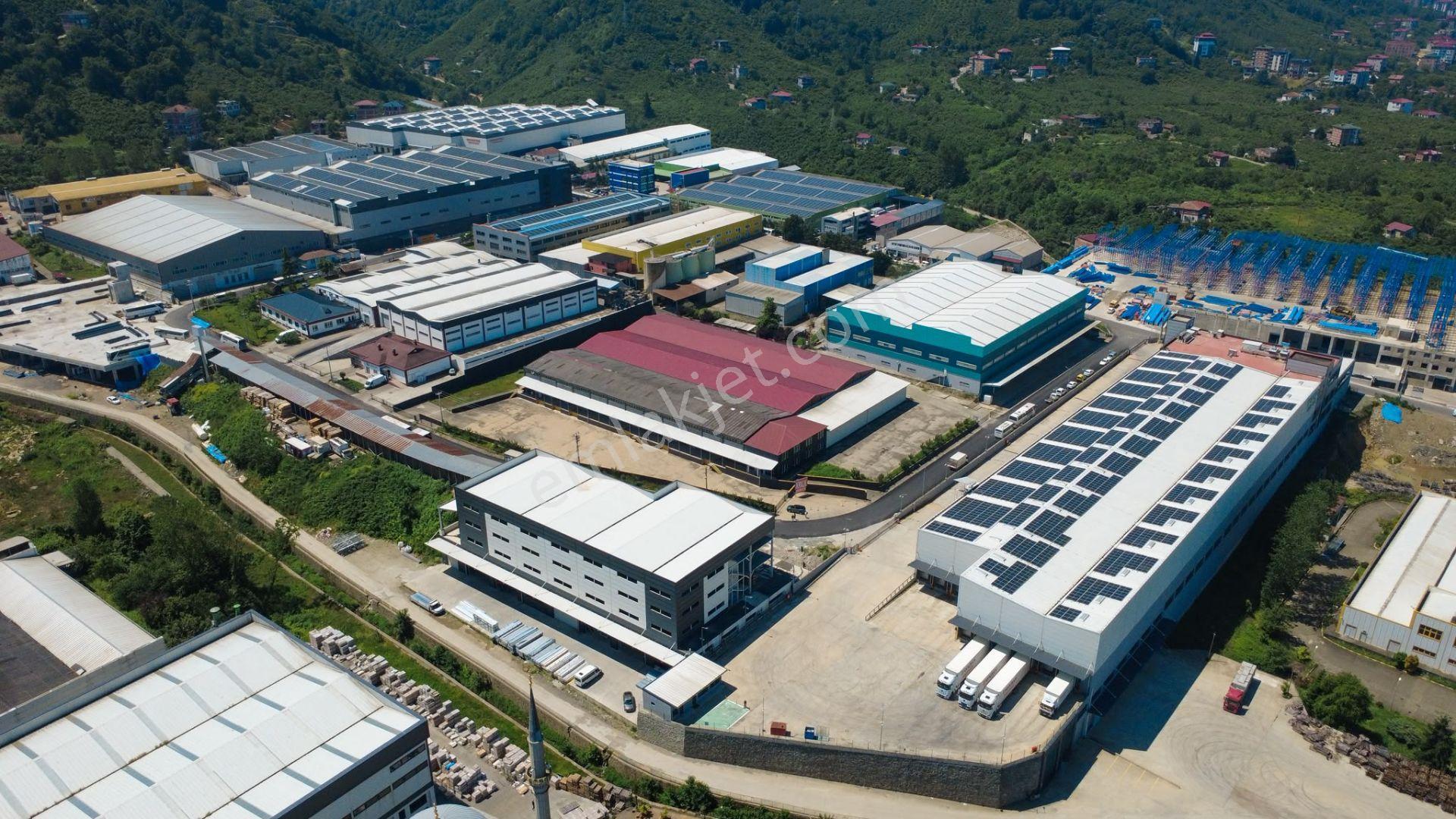 Trabzon Arsin Organize Sanayi Bölgesinde Kiralık Fabrika - Görsel 7