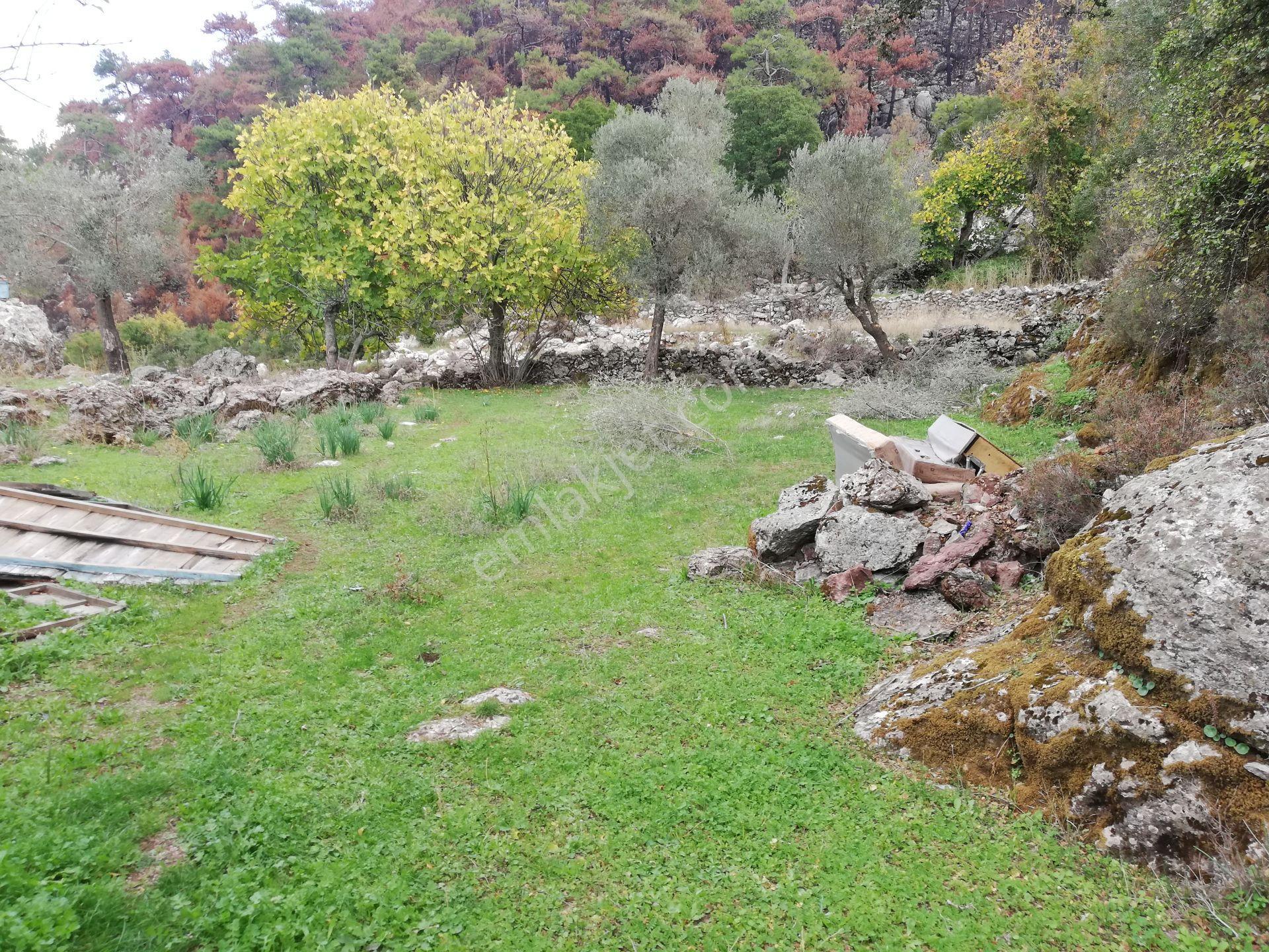 Marmaris Osmaniye Satılık, 1.900 M2 İmarlı Arsa Ve Müstakil Ev - Görsel 16