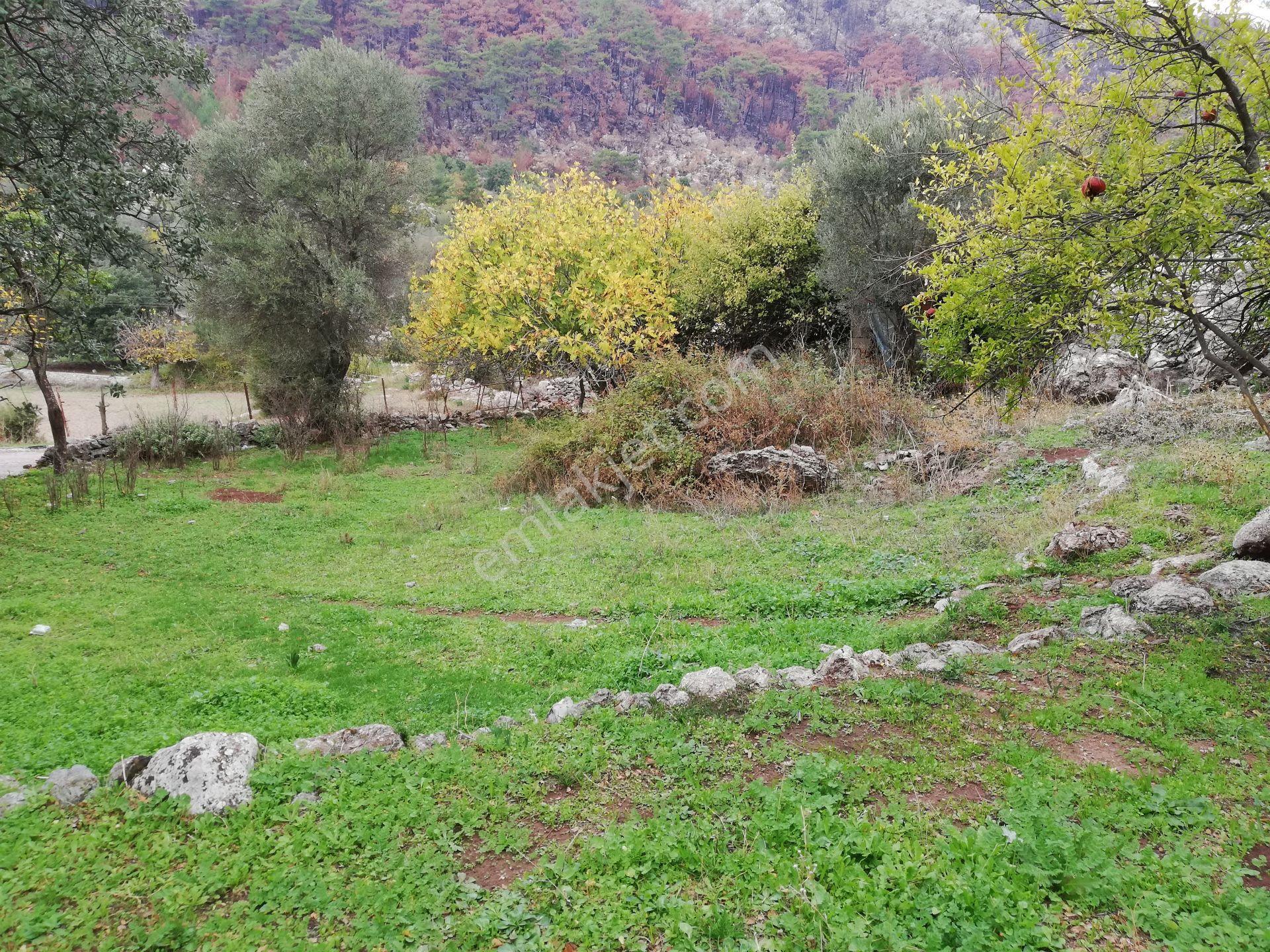Marmaris Osmaniye Satılık, 1.900 M2 İmarlı Arsa Ve Müstakil Ev - Görsel 17