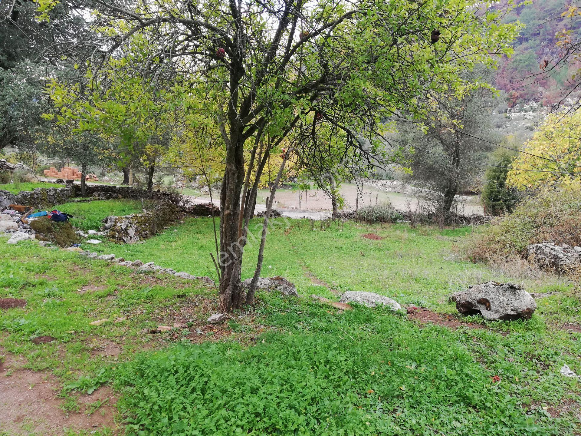 Marmaris Osmaniye Satılık, 1.900 M2 İmarlı Arsa Ve Müstakil Ev - Görsel 9
