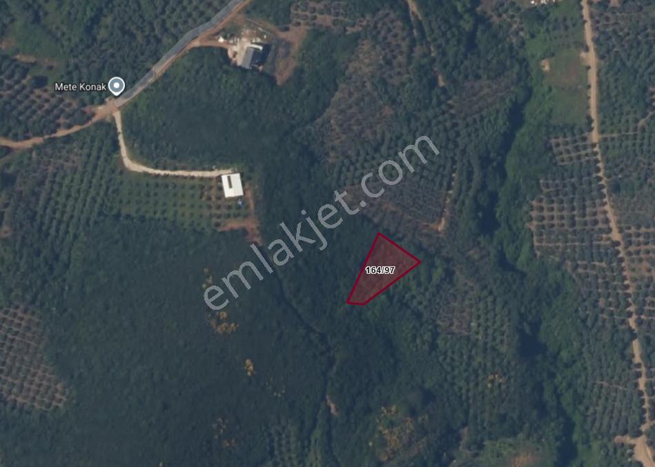Balıkesir Bandırma Sahil Yenice Mah. 1003 M2 Satılık Tarla Deniz Manzaralı Yatırımlık