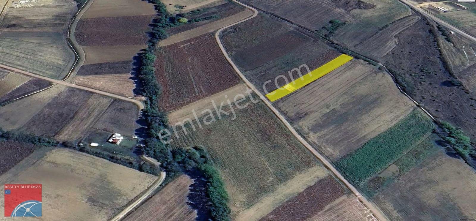 Kocaeli Derince Çavuşlu Köyü Satılık Fırsat Tarla