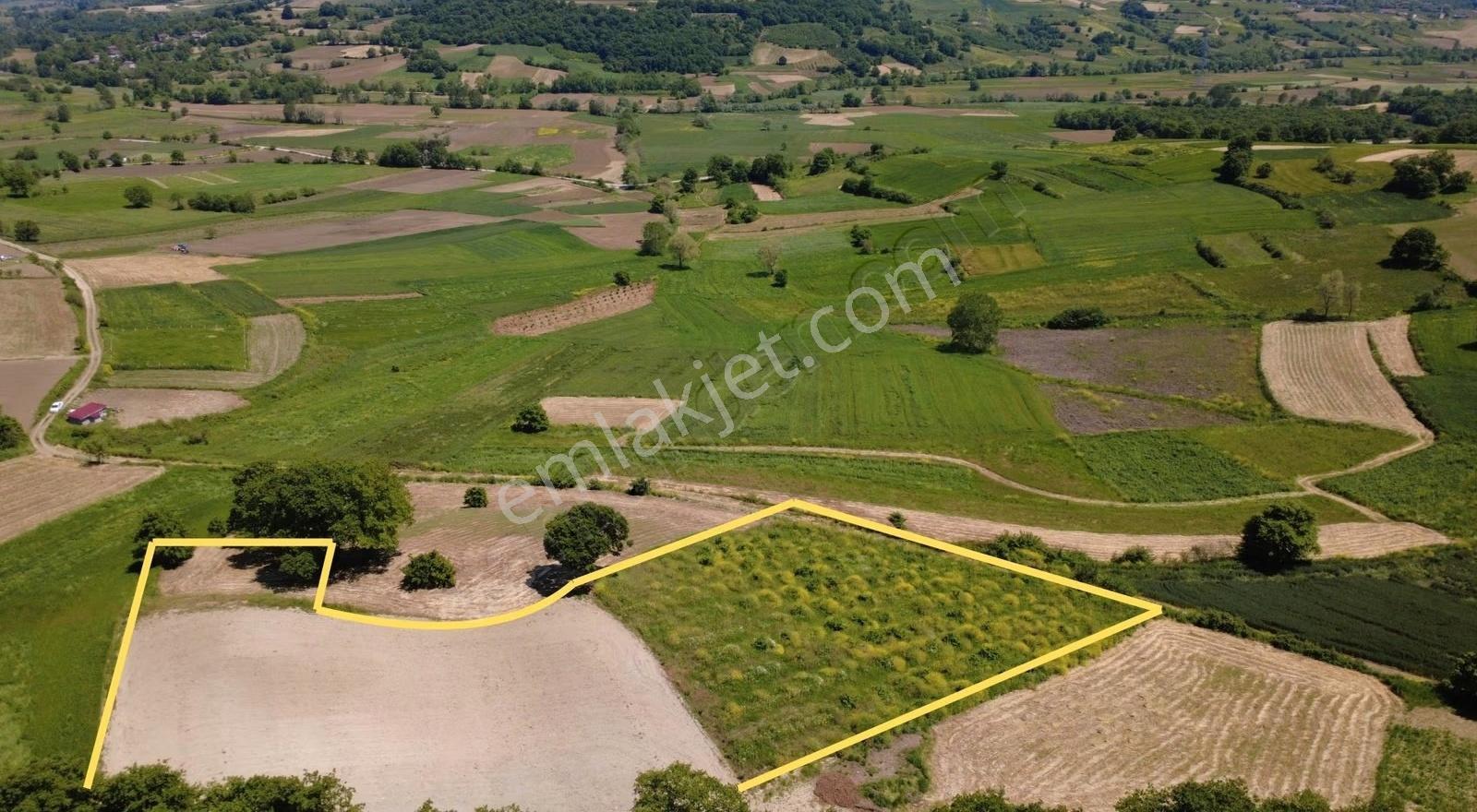Kandıra Yoluna 500 M | İmar Sınırında 5560 M² %5 İmarlı - Görsel 2