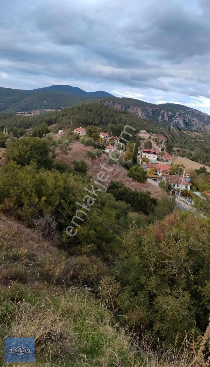 Muğla Köyleri En Uygun Köye Yakın Tarla - Görsel 5