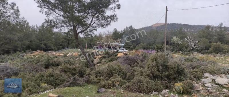 İçinde Bağ Evi Elektrik Su Var Yatağan Kozağaç 1.260m2 Arazisi - Görsel 4