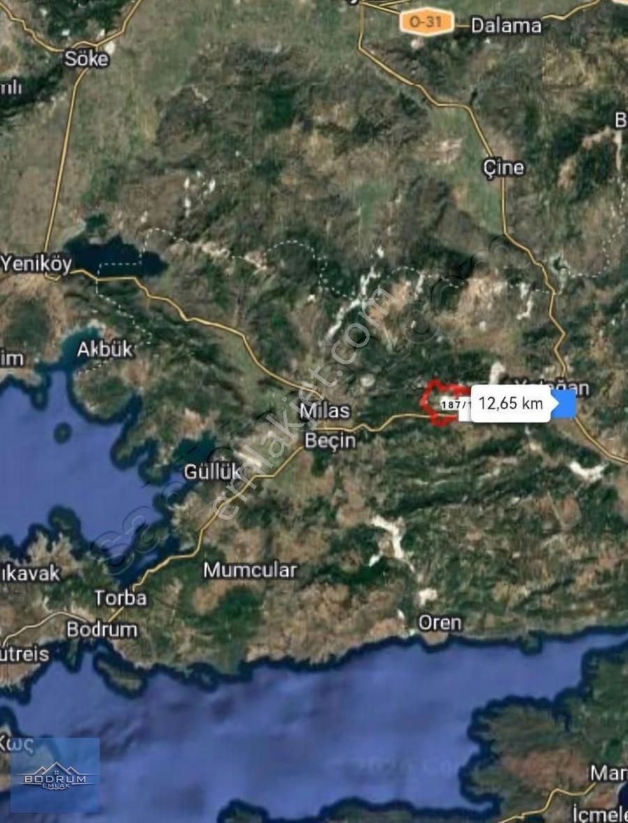 İçinde Bağ Evi Elektrik Su Var Yatağan Kozağaç 1.260m2 Arazisi - Görsel 7