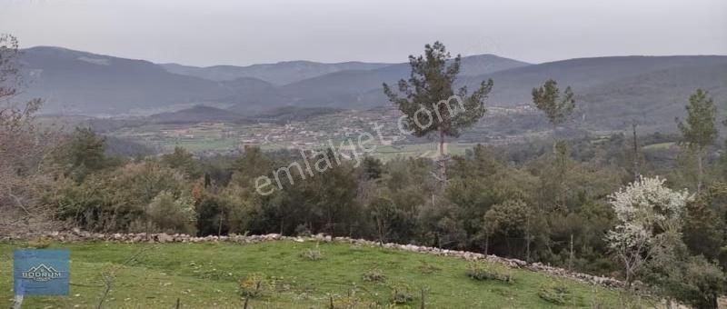İçinde Bağ Evi Elektrik Su Var Yatağan Kozağaç 1.260m2 Arazisi - Görsel 5