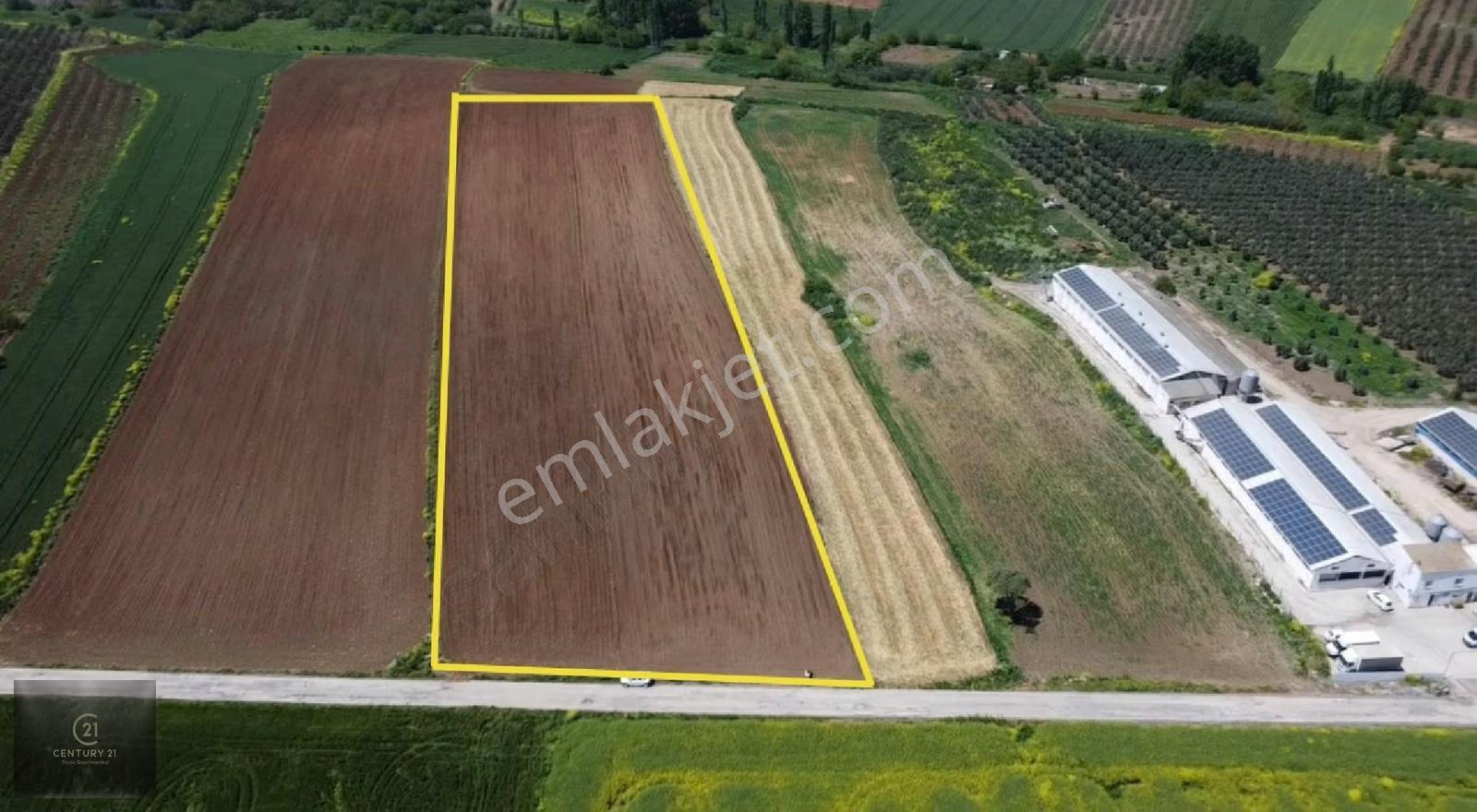 Edincikte Ana Yola Cepheli Satılık Tarla Fırsatı