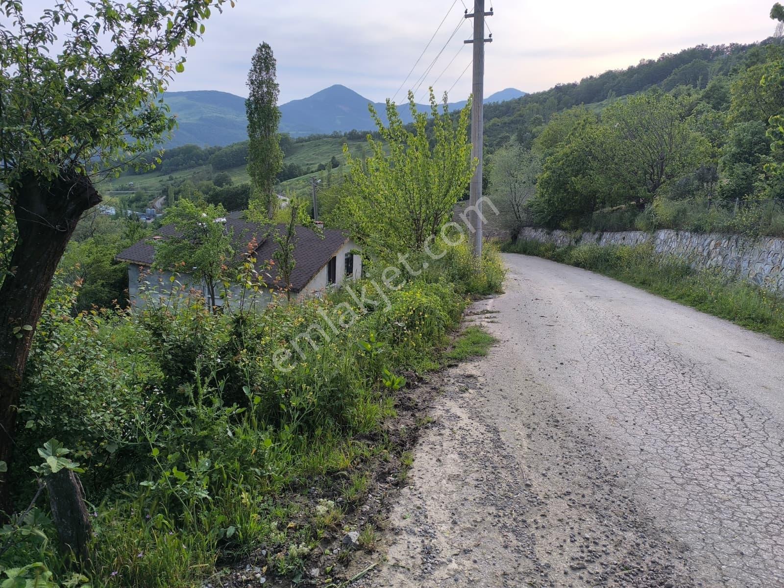 Geyve Akıncı'da Anayola Cepheli İmarlı Arsa - Görsel 9