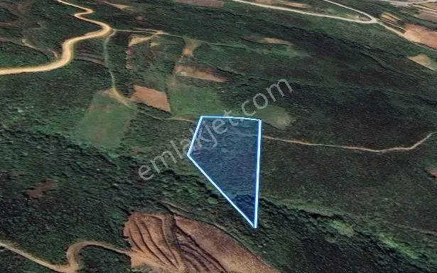 Balıkesir Bandırma Sahil Yenice Mah. 5.465 M2 Satılık Tarla Yatırımlık - Görsel 4