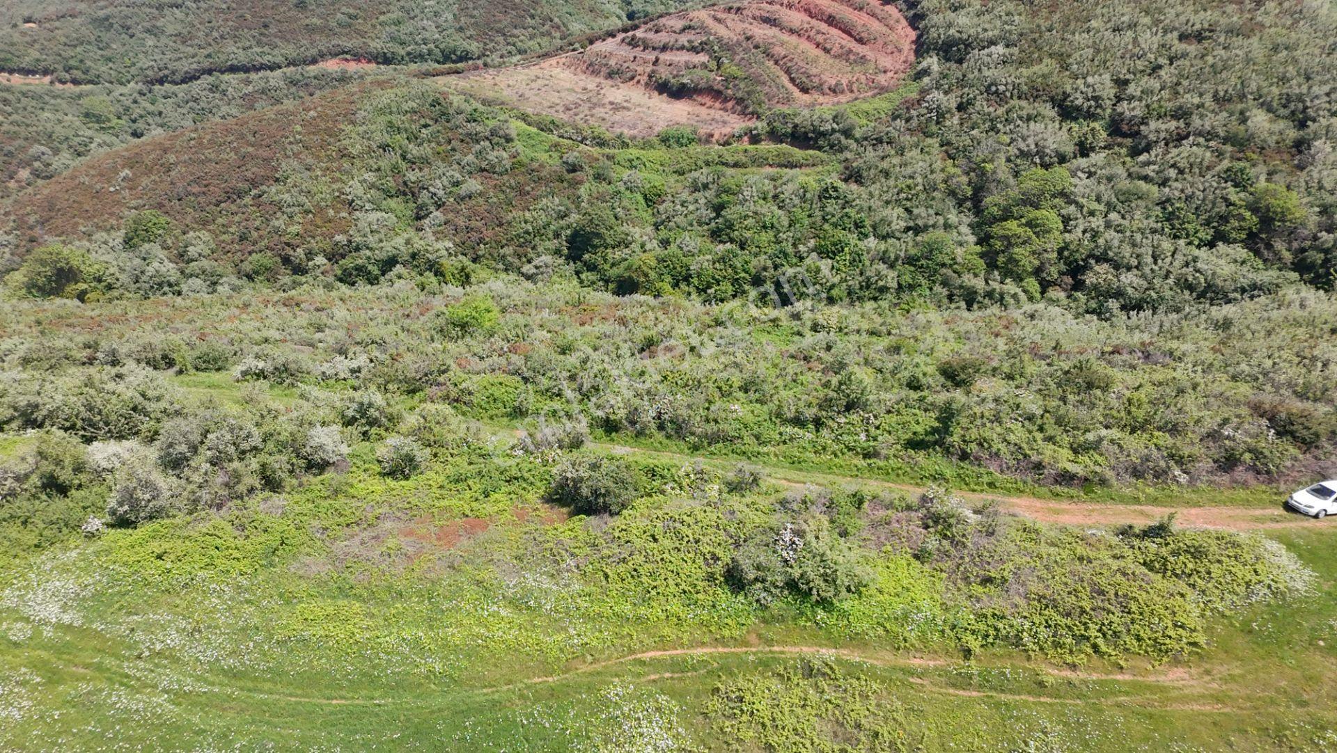 Balıkesir Bandırma Sahil Yenice Mah. 5.465 M2 Satılık Tarla Yatırımlık
