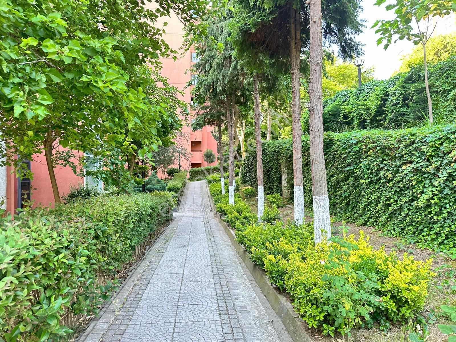 Bahçeşehir Gül Sitesi 3+1 Satılık Daire - Görsel 3